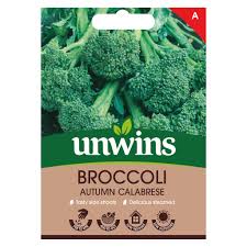 Broccoli Autumn Calabrese