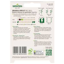 Brussels Sprout Red Bull