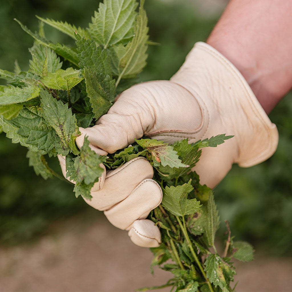 Kent & Stowe Luxury Leather Water Resistant Gardening Gloves Ladies