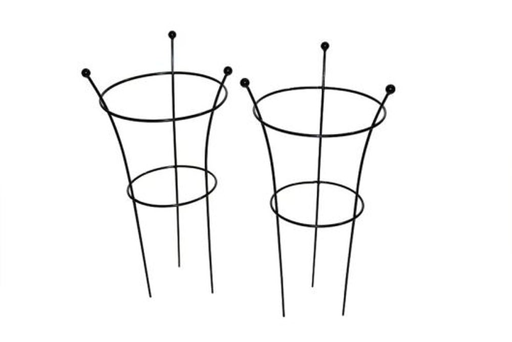 Herbaceous Support - Medium - Twin Pack