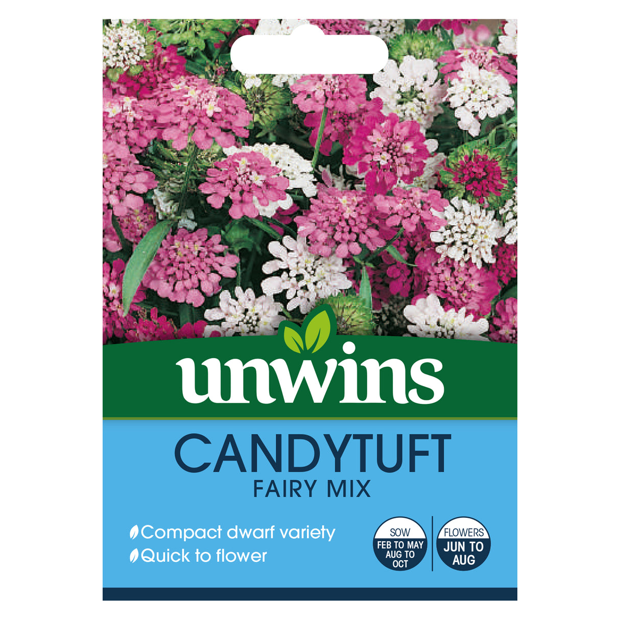 Candytuft Dwarf Fairy Mixed