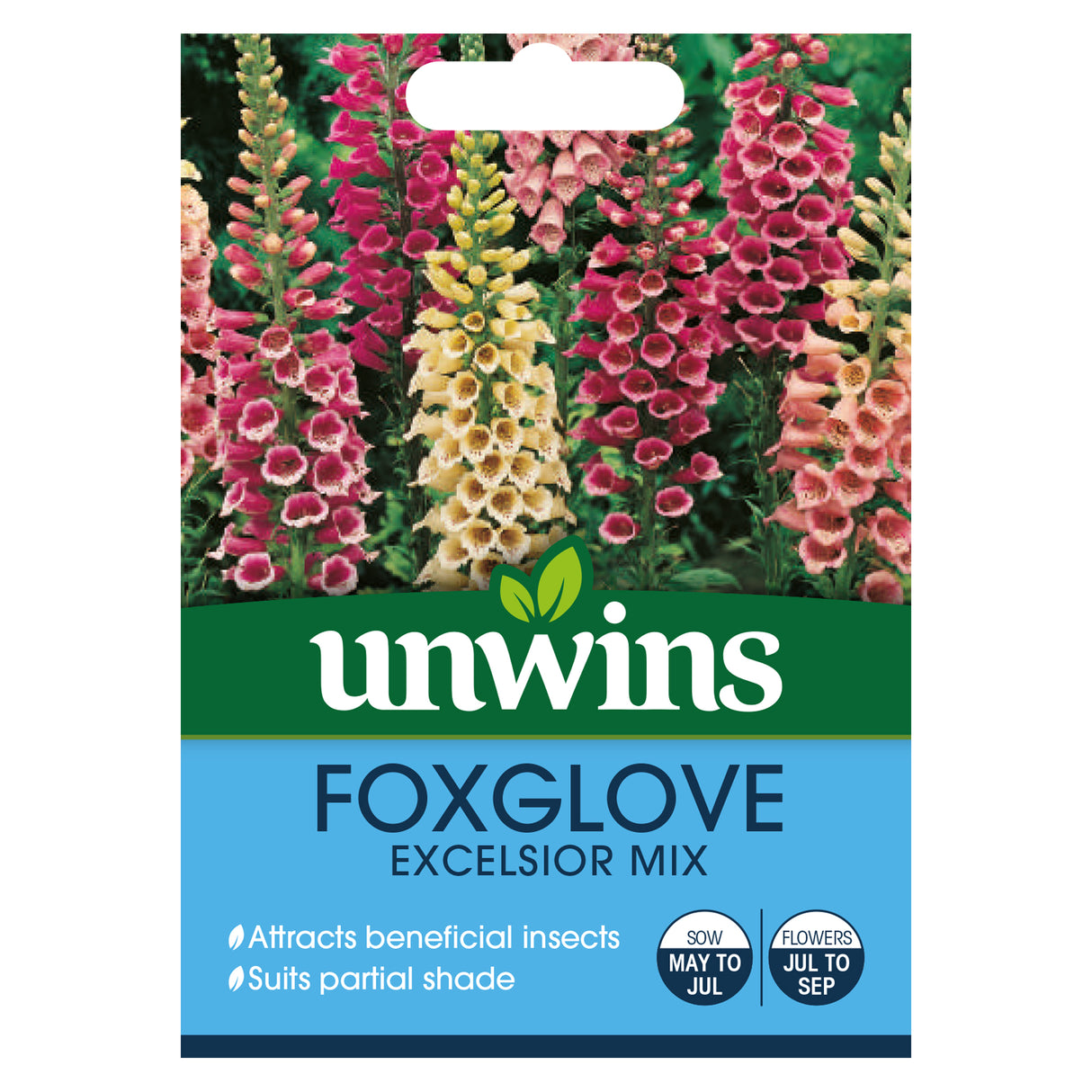Foxglove Excelsior Mixed
