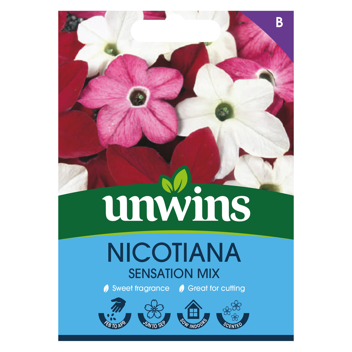 Nicotiana Sensation Mix