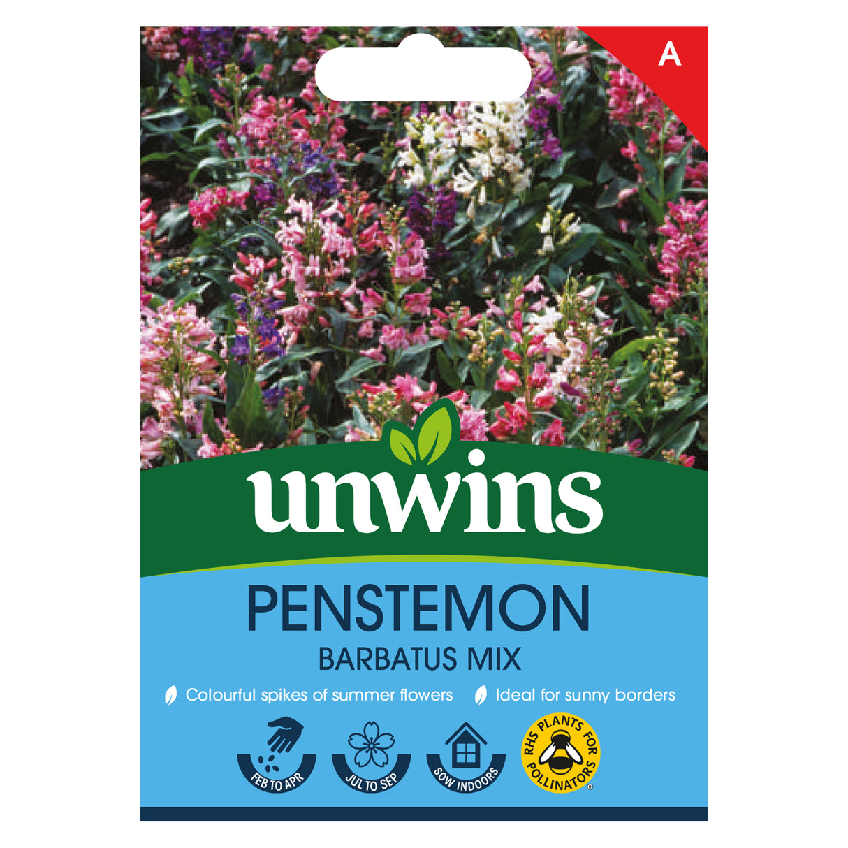 Penstemon barbatus Mix