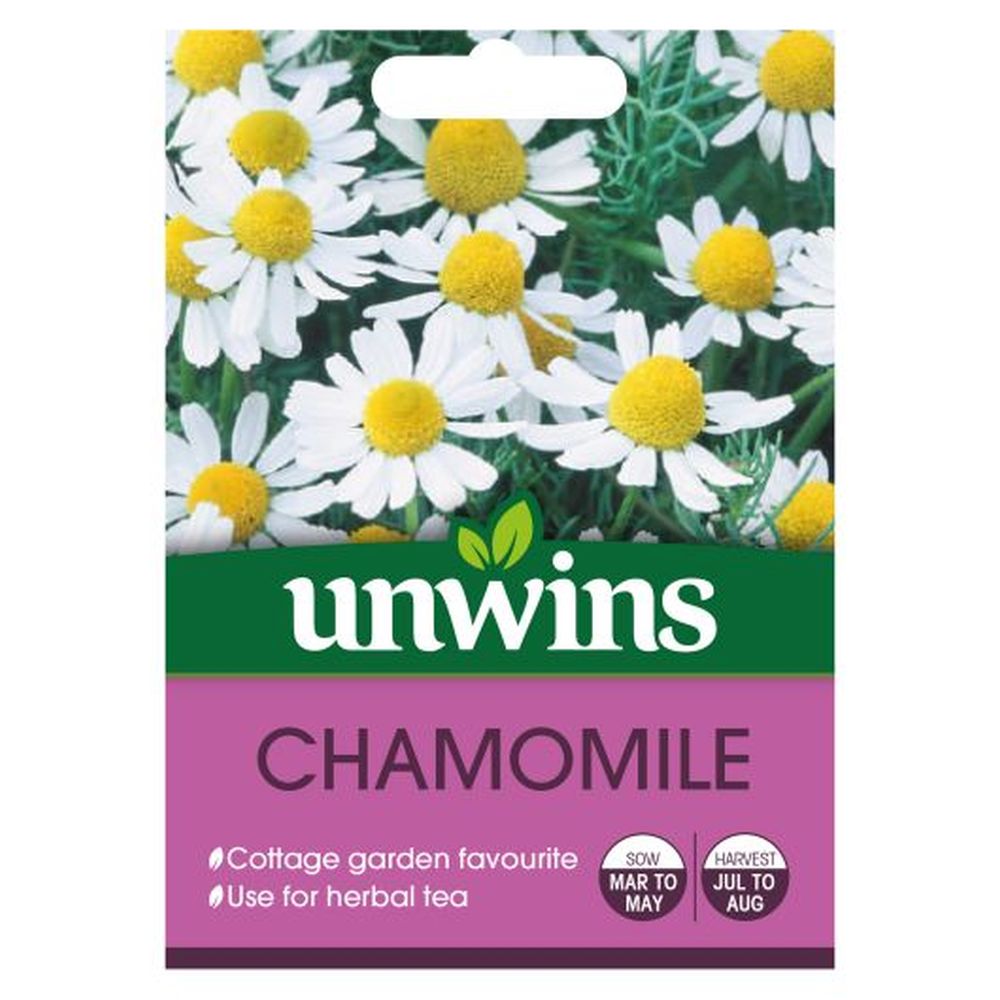 Herb Chamomile