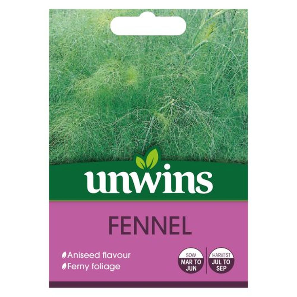 Herb Fennel