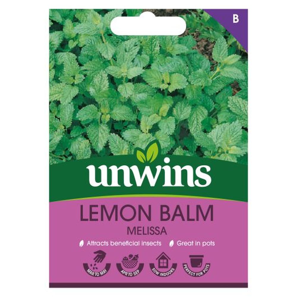 Herb Lemon Balm Melisssa