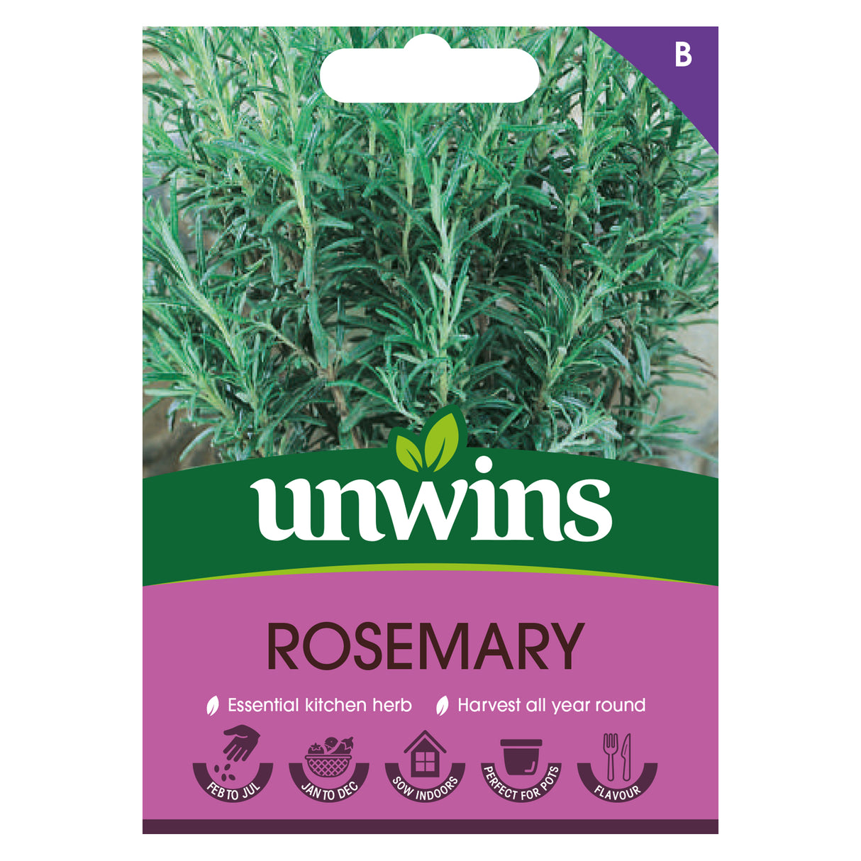 Herb Rosemary