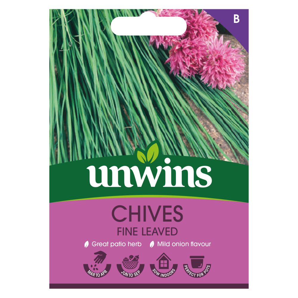 Herb Chives Fine Leaved