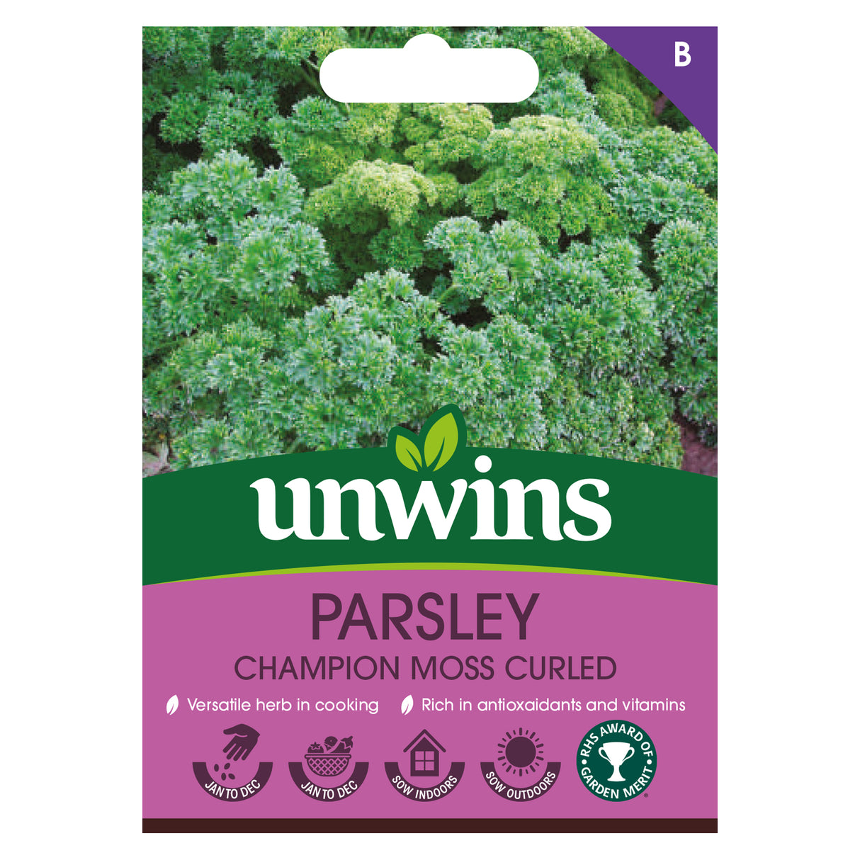 Herb Parsley Champion Moss Curled