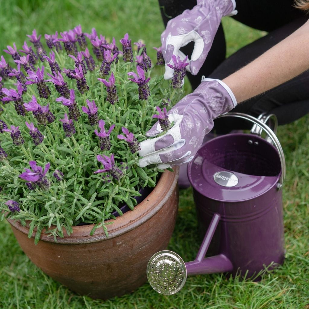 Kent & Stowe Leather Gardening loves FlutterBugs Purple