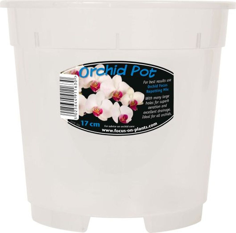 Clear Orchid Pot