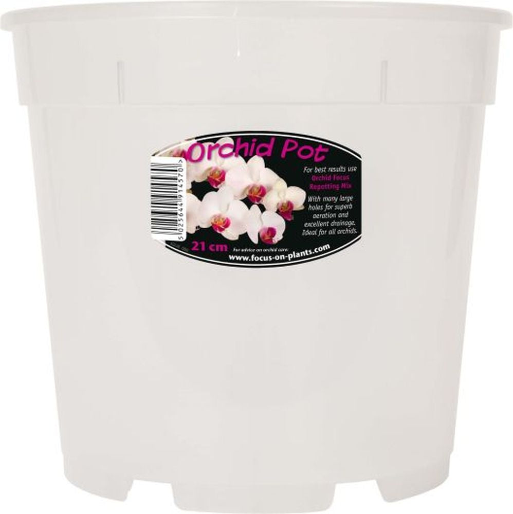 Clear Orchid Pot