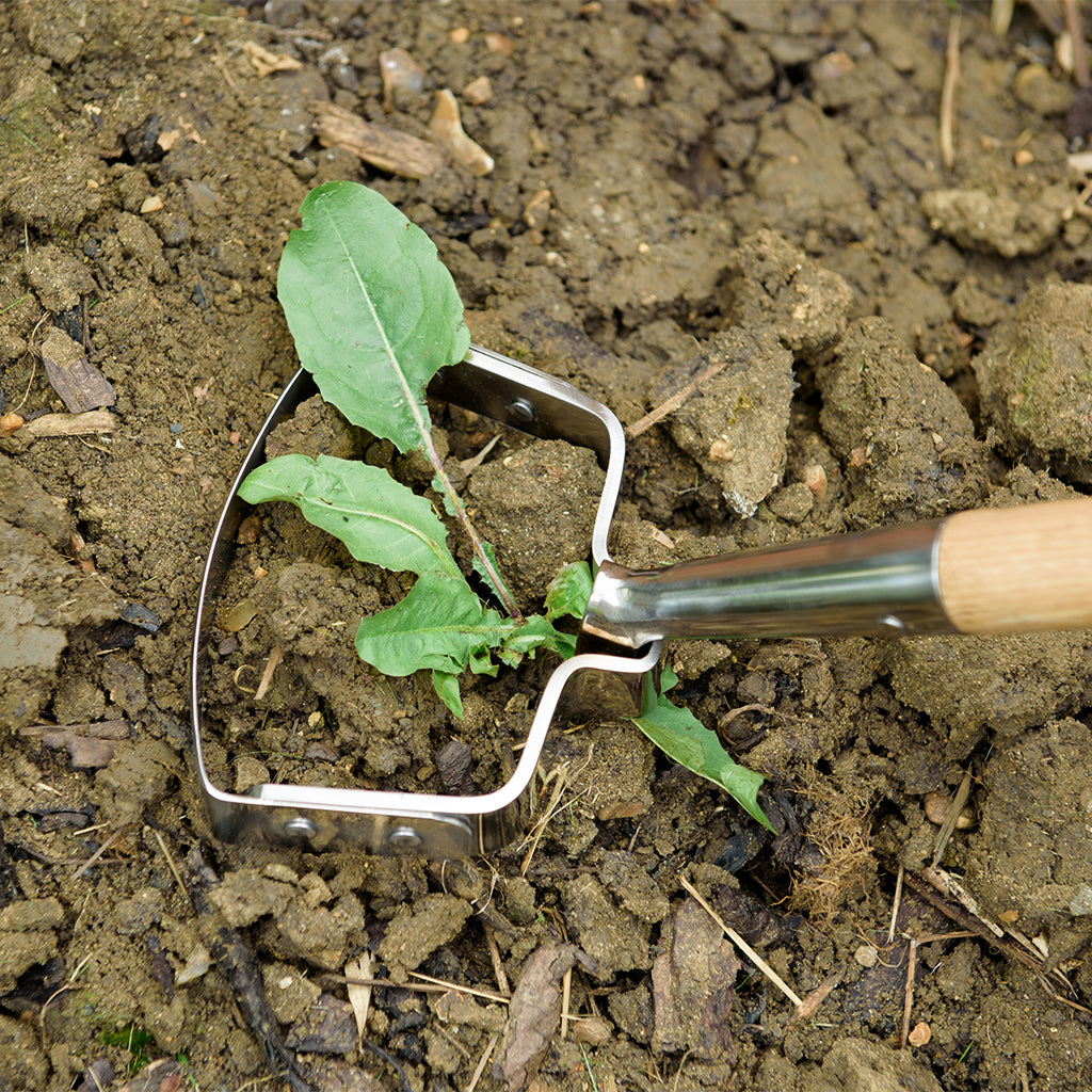 Kent & Stowe Stainless Steel Oscillating Hoe