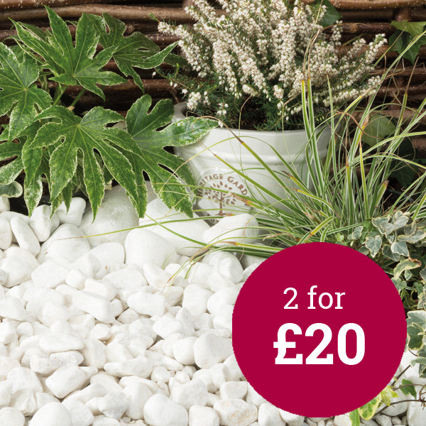 WHITE PEBBLES 20-40mm