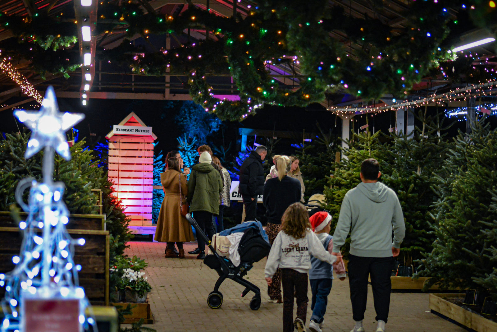Meet Santa This Christmas in Bristol: Almondsbury Garden Centre Christmas Grotto