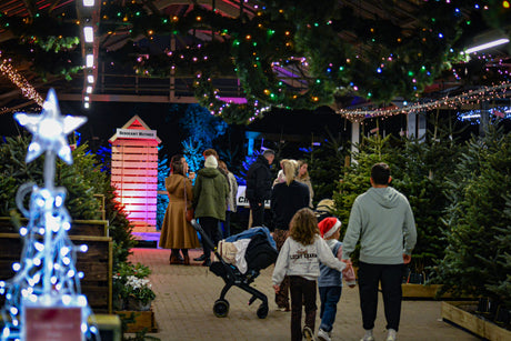 Meet Santa This Christmas in Bristol: Almondsbury Garden Centre Christmas Grotto