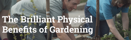 The Brilliant Physical Benefits of Gardening