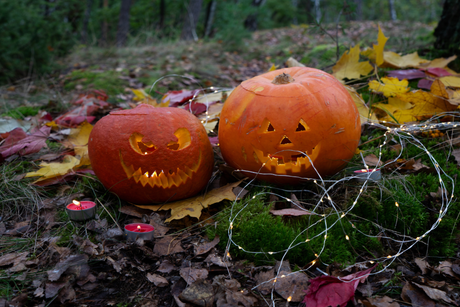 How to Host a Spooktacular Halloween Garden Party
