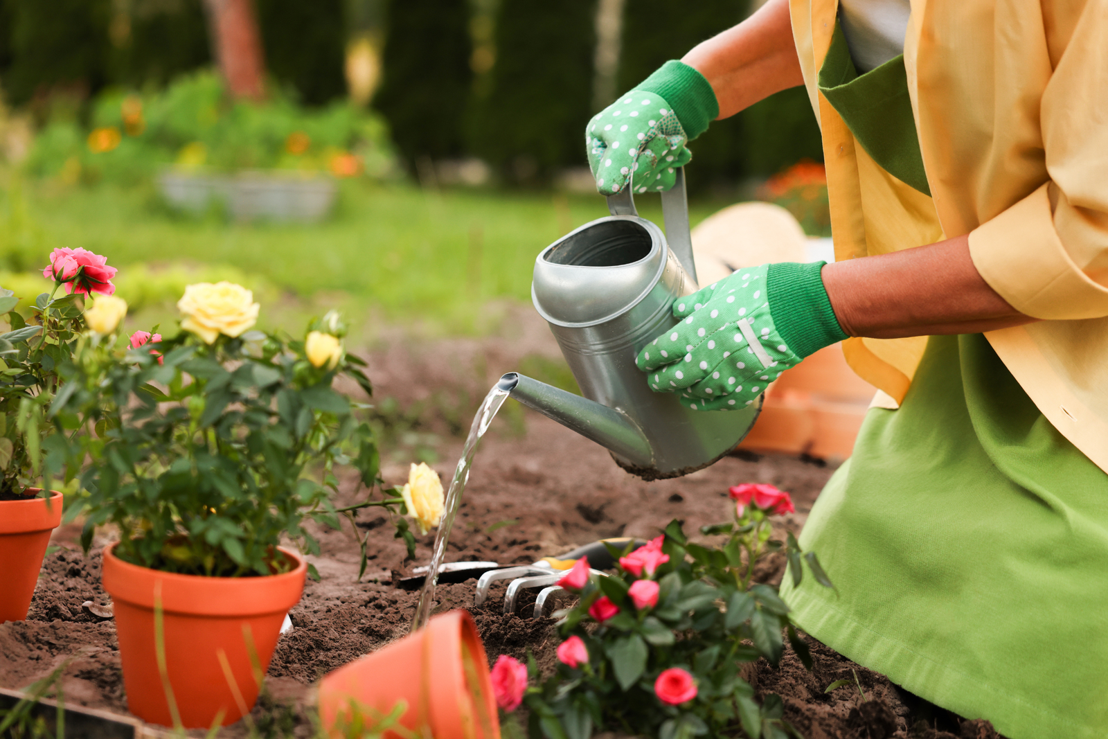 The Wellness Benefits of Gardening: How Gardening Improves Your Health and Fitness