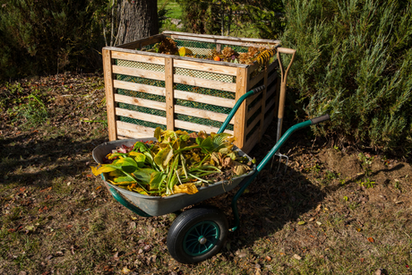 Composting Made Simple: A Step-by-Step Guide for Beginners