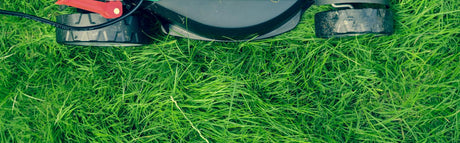 How to Care For Your Lawn: Steps, Products & Maintenance