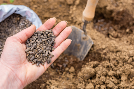 Understanding Plant Fertilisers: Which Soil Improver Do You Need?