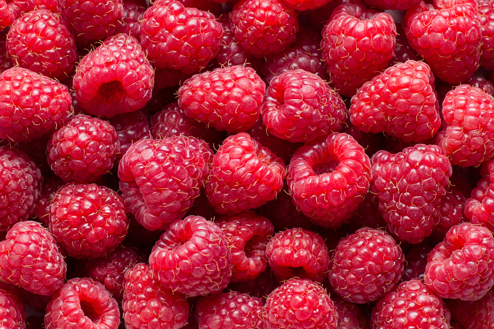 How to Grow Raspberries: A Simple Guide for Juicy Summer Harvests