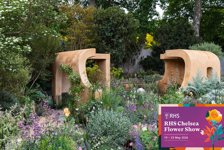 10 Chelsea Flower Show 2026 Trends Everyone is Talking About