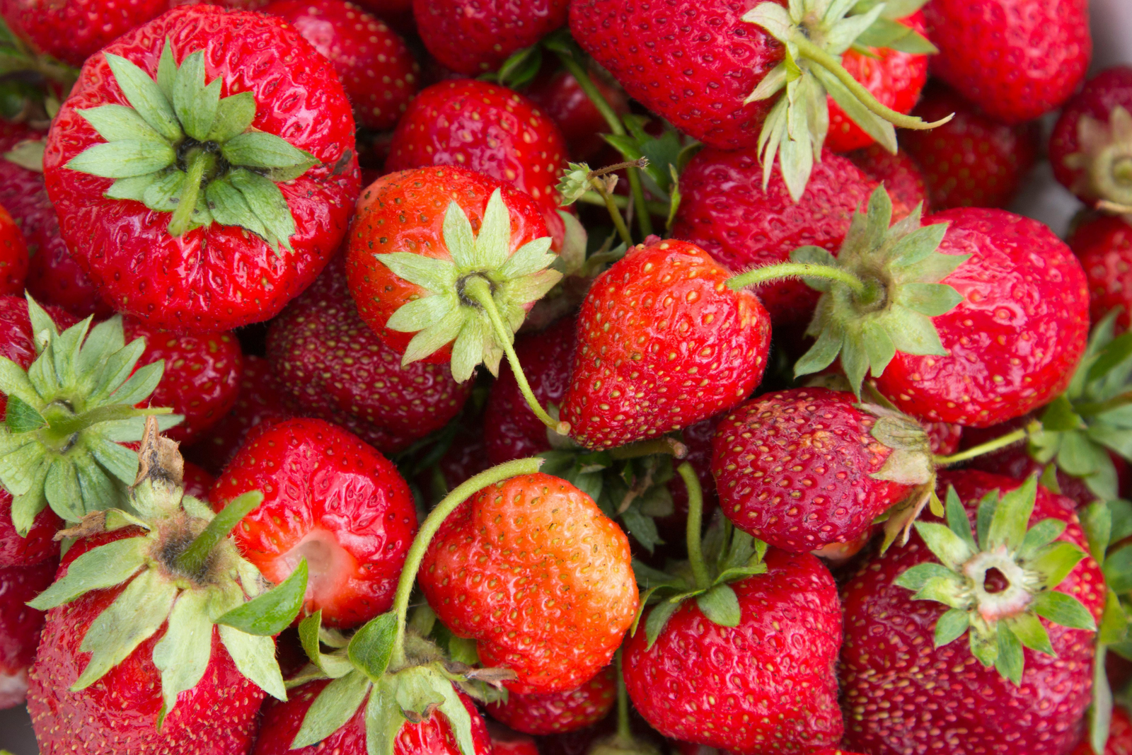How to Grow Juicy Strawberries at Home