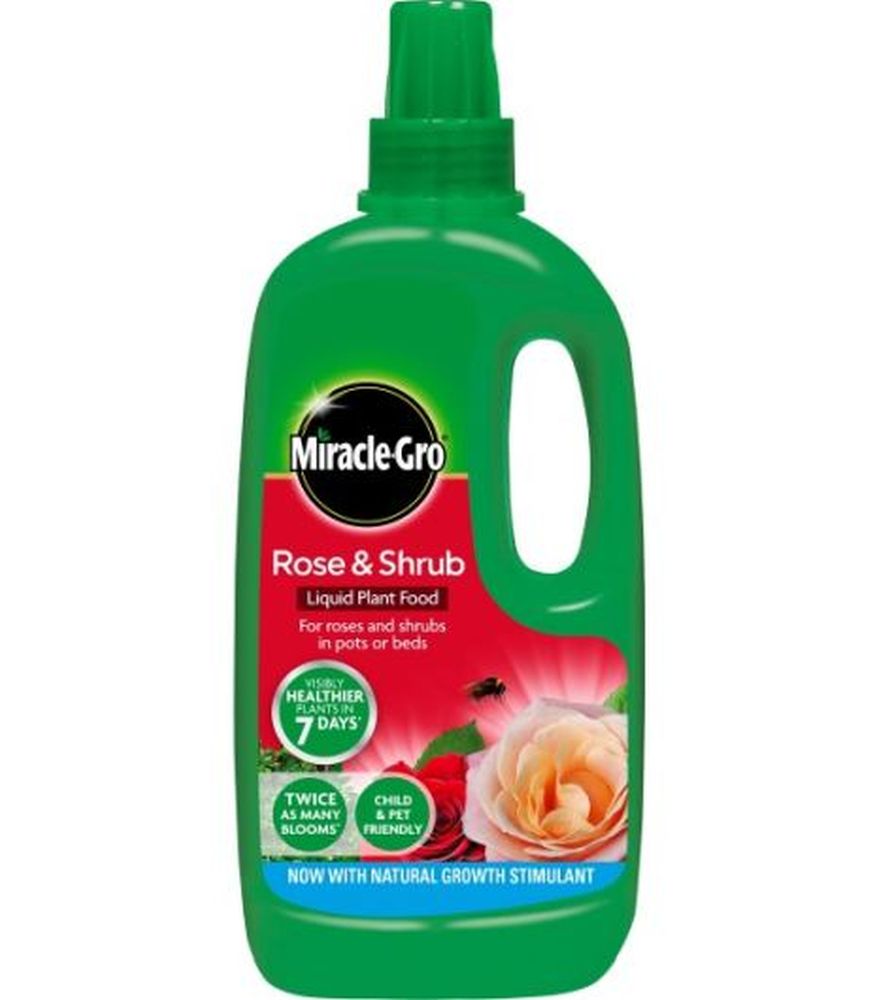 Rose Care