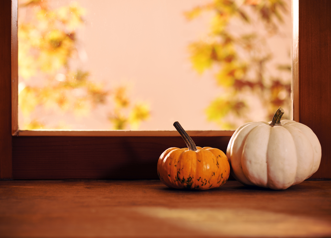 Autumn Homeware & Decor