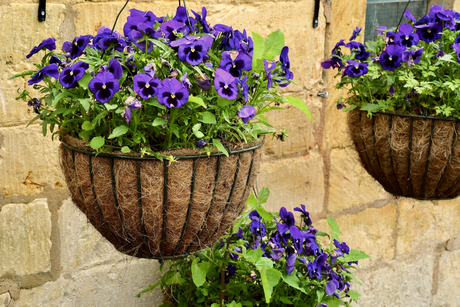 Baskets & Wall Troughs