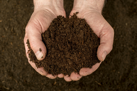 Compost and Bark