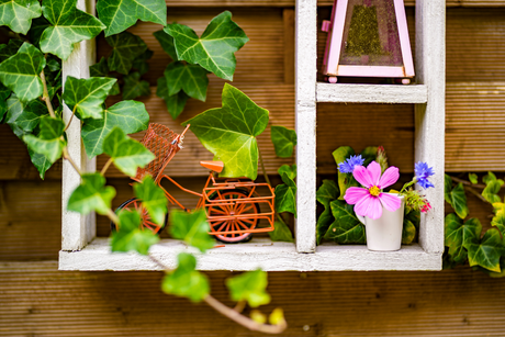 Garden Decor