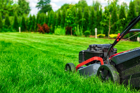 Lawn Tools