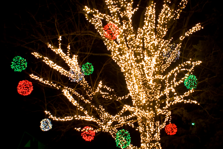 Outdoor Lights