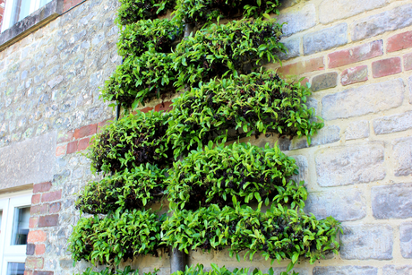 Topiary Trellis