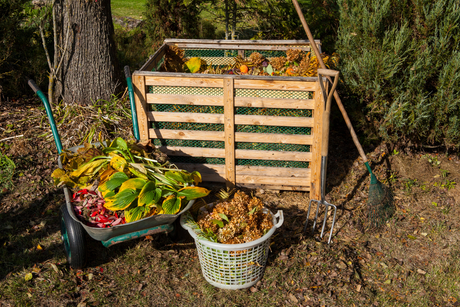 Compost Bins