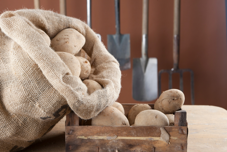 Grow Bags & Storage Bags