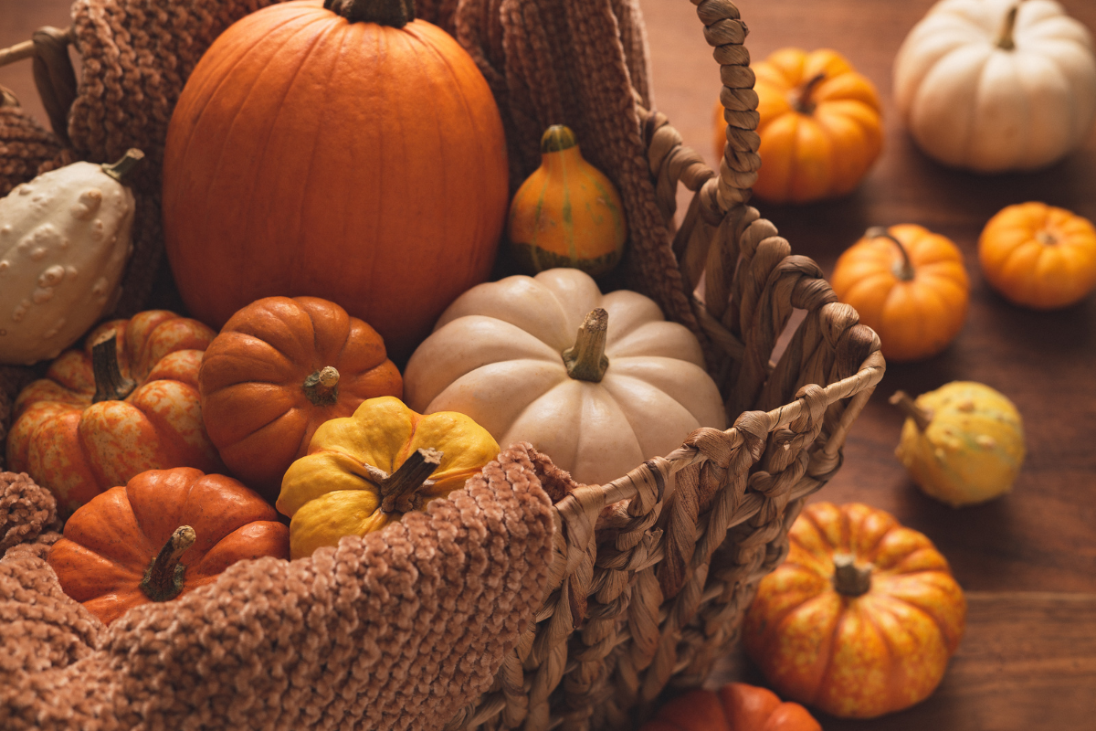 Autumn & Halloween Decor