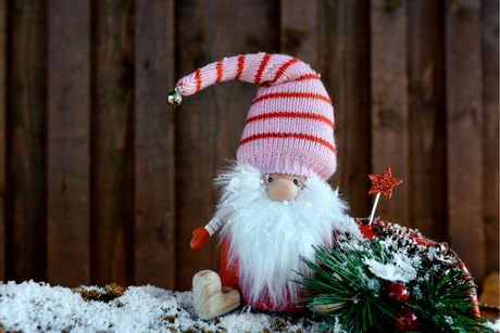 Santa & Friends