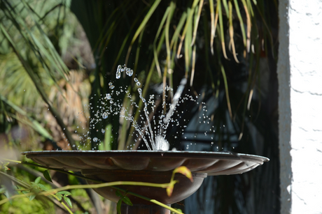 Solar Fountain