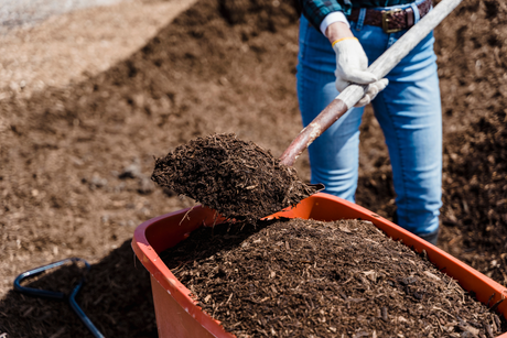 Specialist Compost