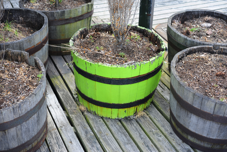 Wooden Pots and Barrels