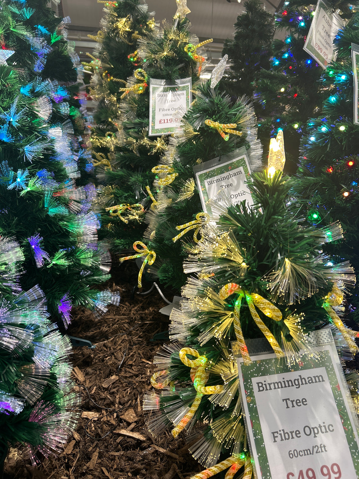 Birmingham tree fibre optic green