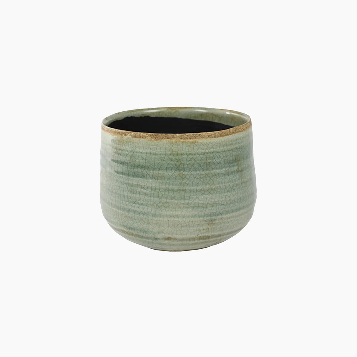 Como Mint Planter
