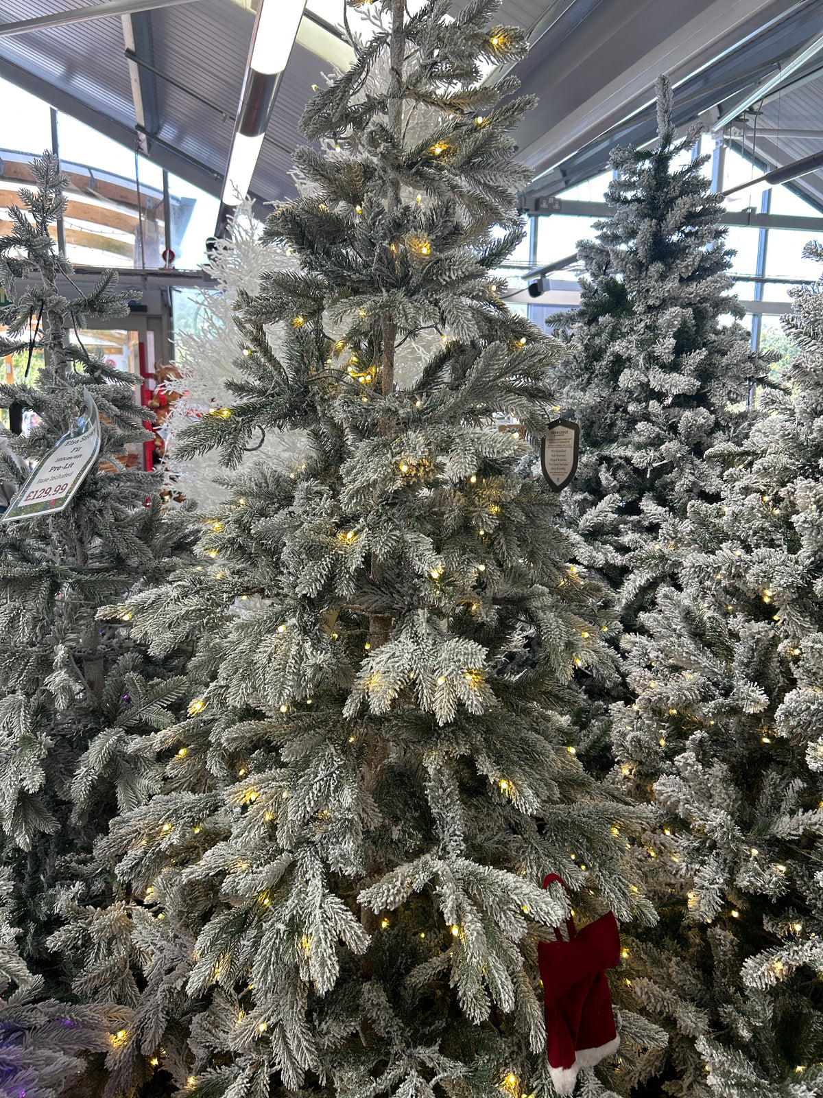 Elsa Frosted Snowy Fir Pre-Lit 7ft