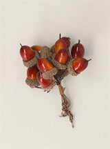Brown Acorn Pick Bunch