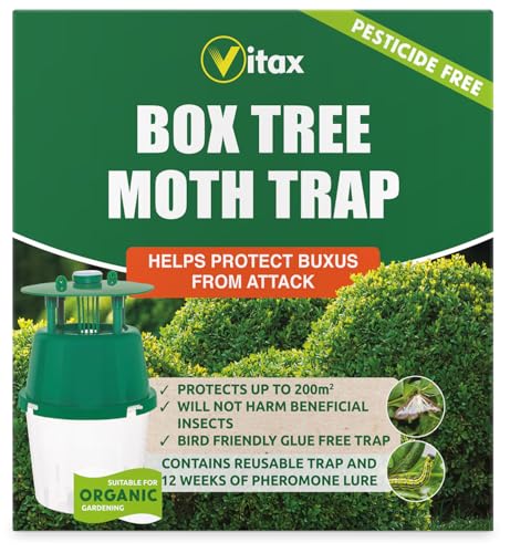 BOX TREE MOTH TRAP